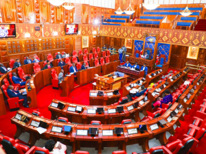 council of senators in a session